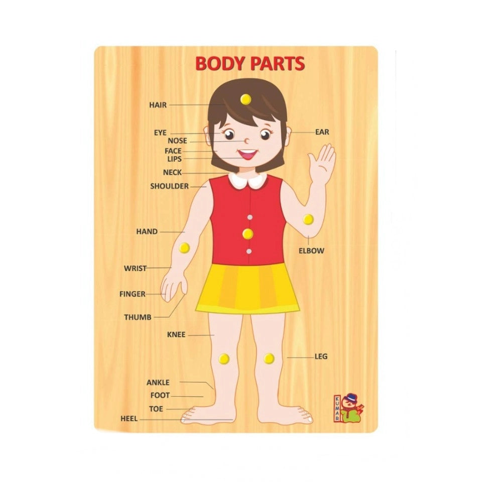 Body Parts educational toys for kids 3+ years