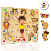 Wooden Puzzle - Body parts educational toys for kids 3+ years