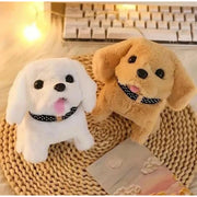 Walking And Talking Dog (Multicolor) kids toys for kids 3+ years