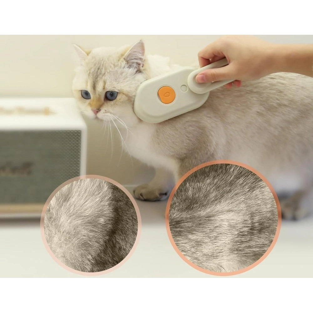 Pet accessories - POPNOVA