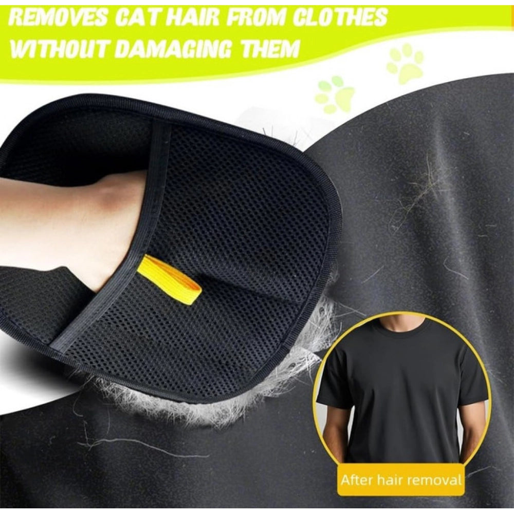 Pet accessories - POPNOVA