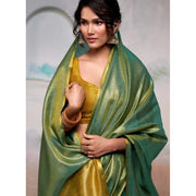 Women's Tissue Silk Solid Saree With Unstitched Blouse 5.5Mtr (Light Green) - POPNOVA saree